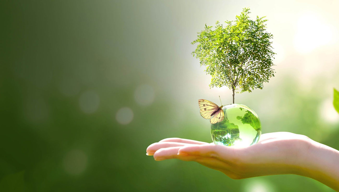 Environmental Respect