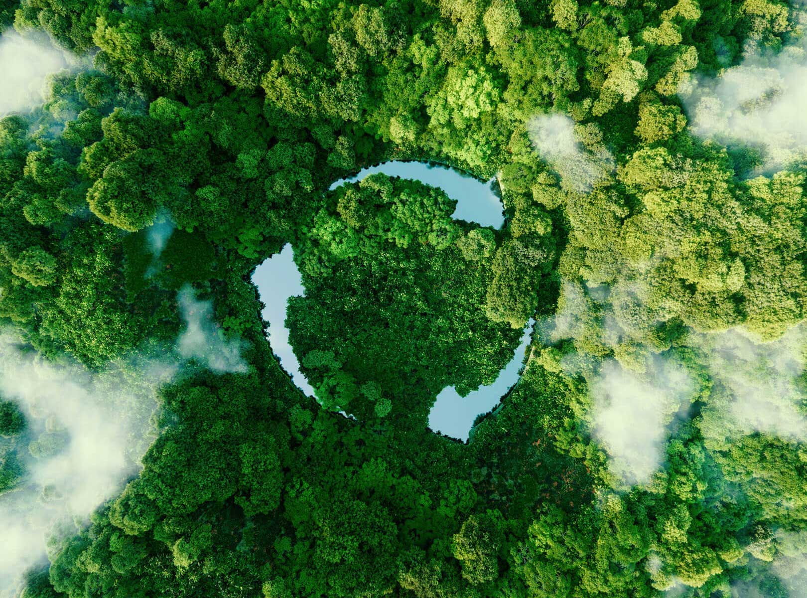 Sustainability